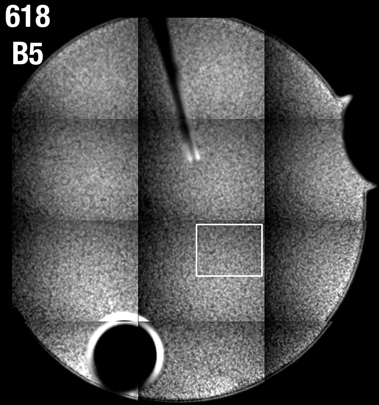 different-looking phase-separating sample B5